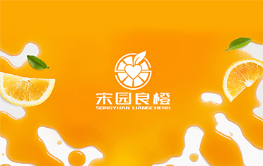 北京柳珊珊网络科技有限公司良橙——LOGO设计